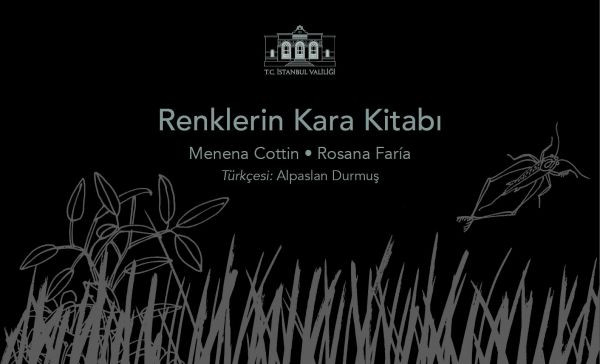 renklerin_kara_kitabA1