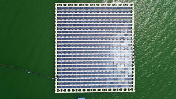 gener2
