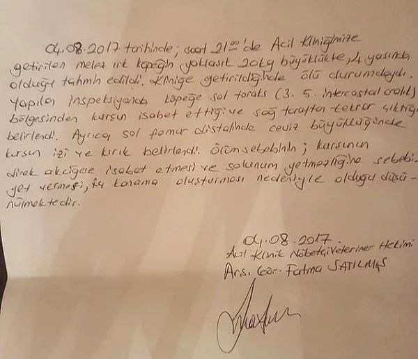 konya_koIpek2