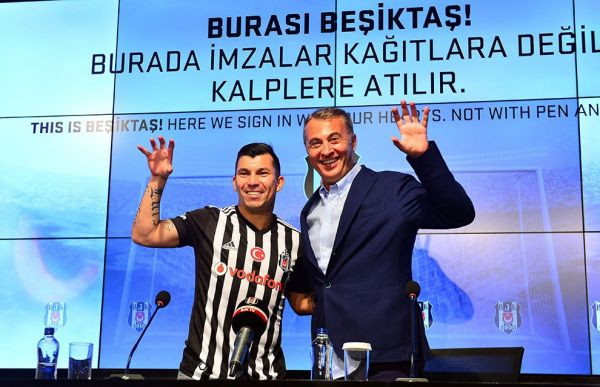 orman-medel