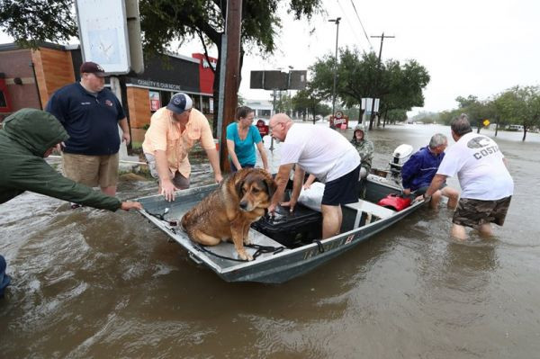 harvey2