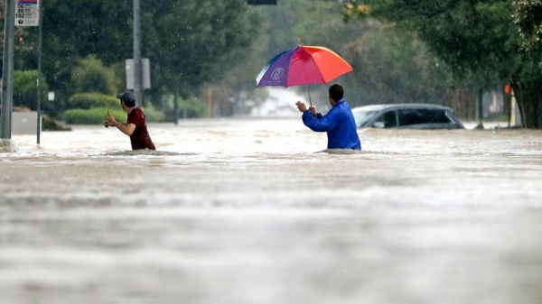 harvey3