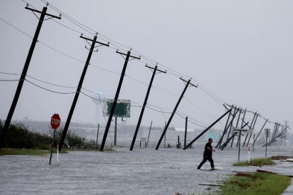 harvey4