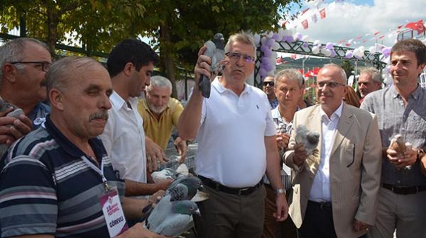 guvercin-chp2