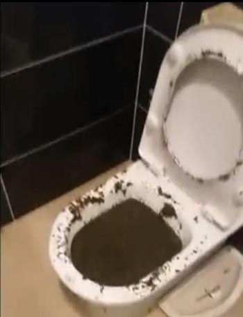 klozet