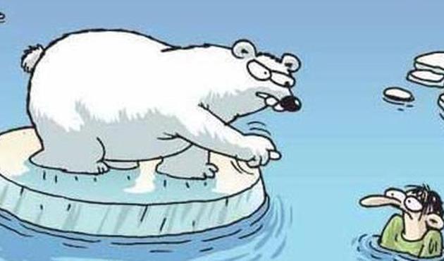 Kutup ayısı krizi! 6. sınıf T&uuml;rk&ccedil;e kitabında şok karikat&uuml;r