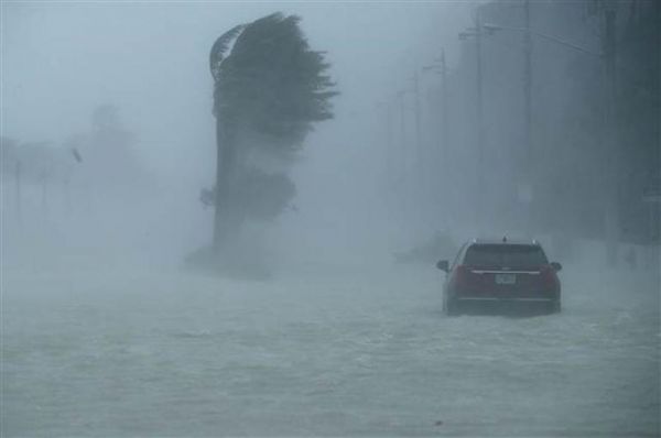 irma7