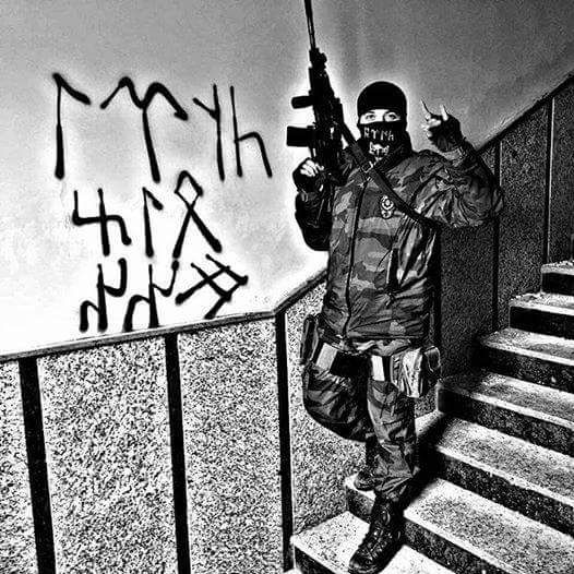 arma2