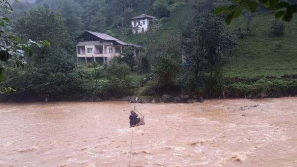 rize11