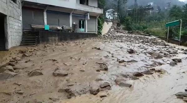 rize_1_1