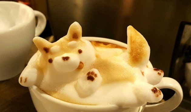 Kahve baristasından ger&ccedil;ek&ccedil;i kahve k&ouml;p&uuml;ğ&uuml; sanatı!