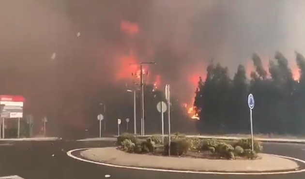 İspanya'da orman yangını 2 can aldı/Video...