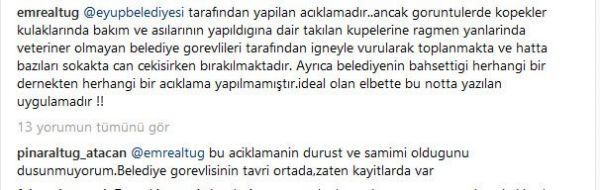 emre-ic-2