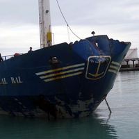 bilal_bal_hasar