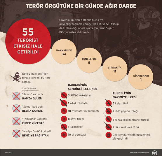 teroIr_grafik