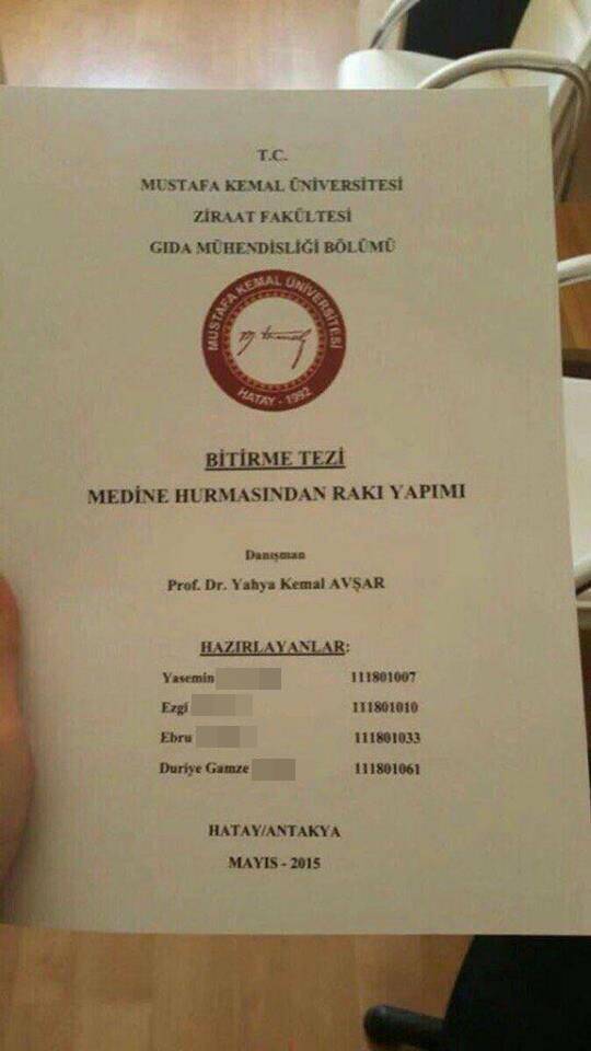 medine_hurmasA_rakA2