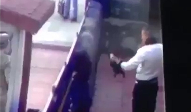 Orduevi'nde kediye b&ouml;yle işkence etti/VİDEO...