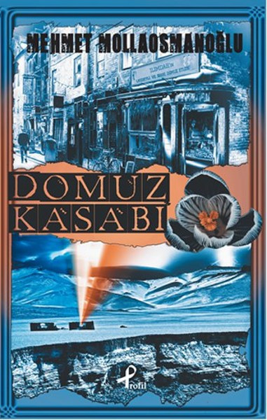 domuz_kasabA