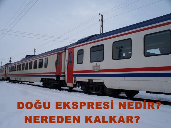 sdfass