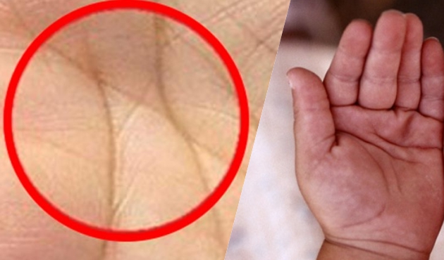 Avu&ccedil; i&ccedil;erisindeki &lsquo;x&rsquo; ne anlama geliyor?