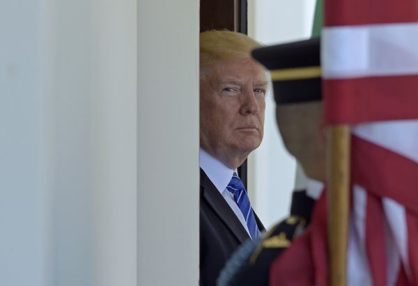 trump-bb2