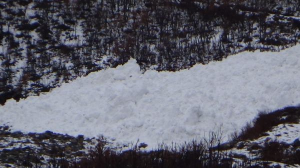 20180120AW284810_06