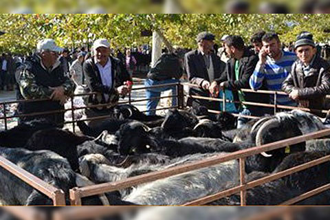 denizli2