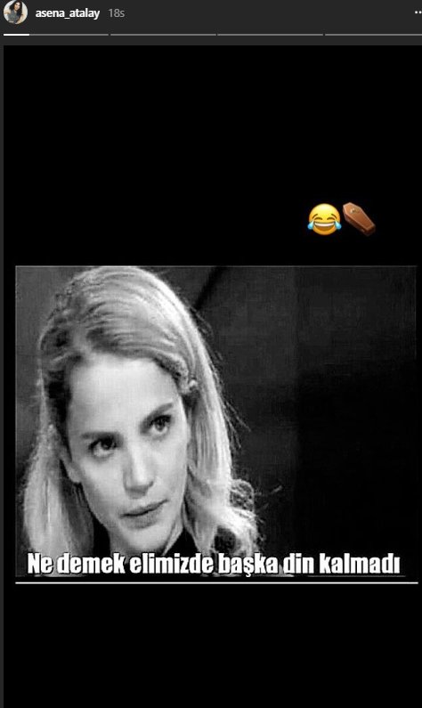 asena-ic