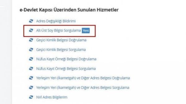 TArkiye_gov_tr_soy_aAacA_soy_aAacA_sorgulama_ekranA