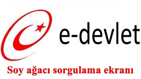 TArkiye_gov_tr_soy_aAacA_soy_aAacA_sorgulama_ekranAfsafafdsa