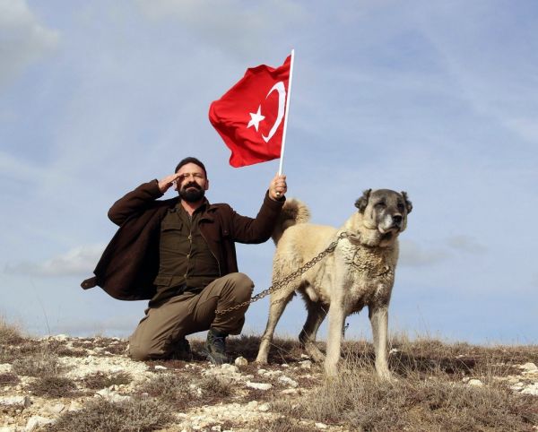 kangal-bb2