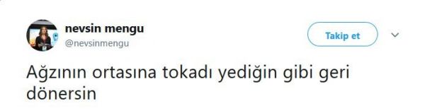 nevsin_mengu_tepki