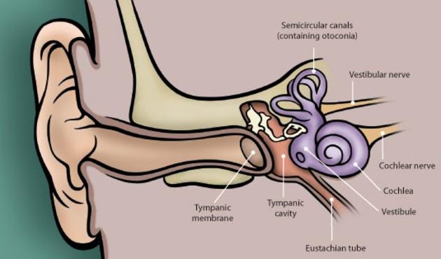 Vertigo nedir, nasıl tedavi edilir?