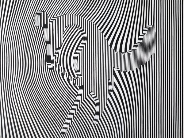 55