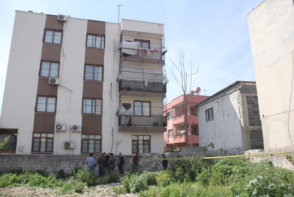 arazi3