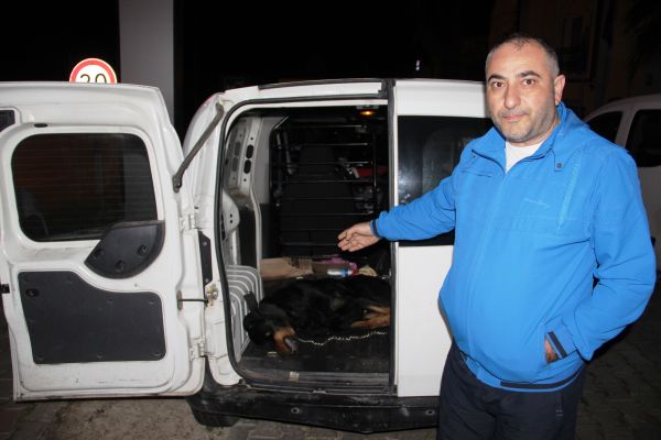bodrum4