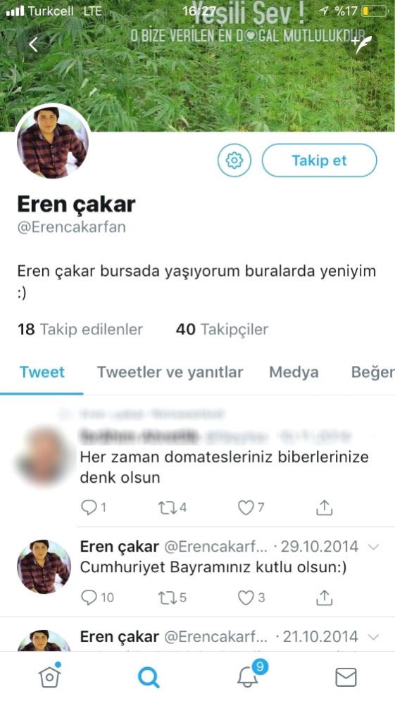 tosun-un-kedicik-meraki-2-10703337_o