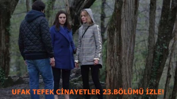 cats_13