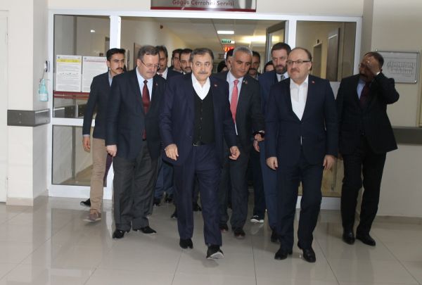 erdoglu1