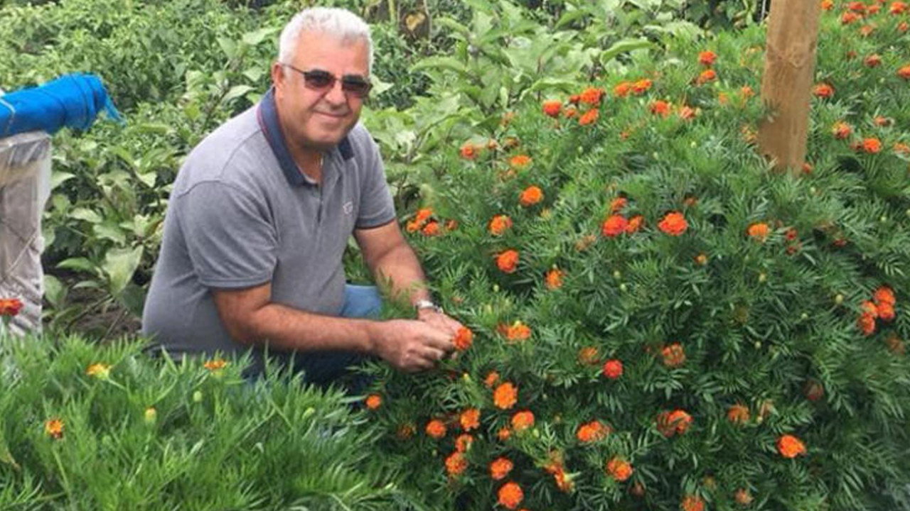 Hayri Erg&ouml;n&uuml;l