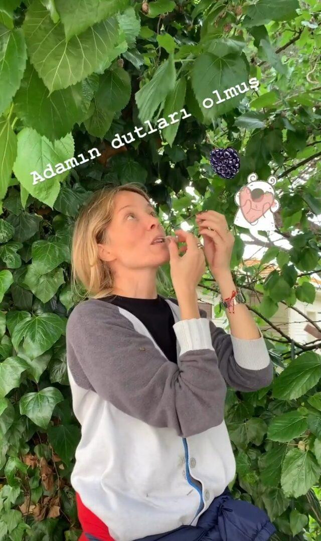 Bade İşçil