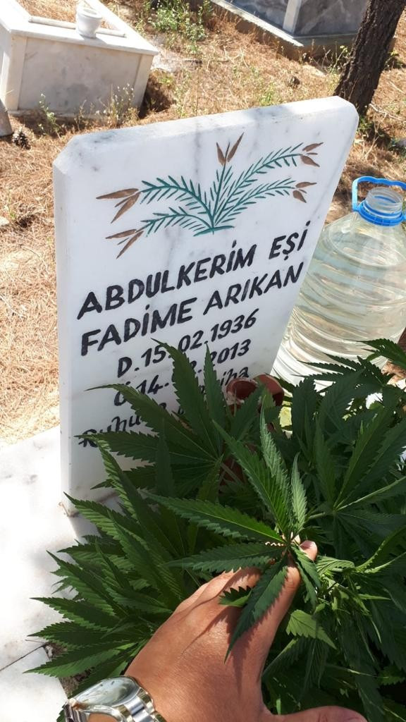 Afyonkarahisar kenevir