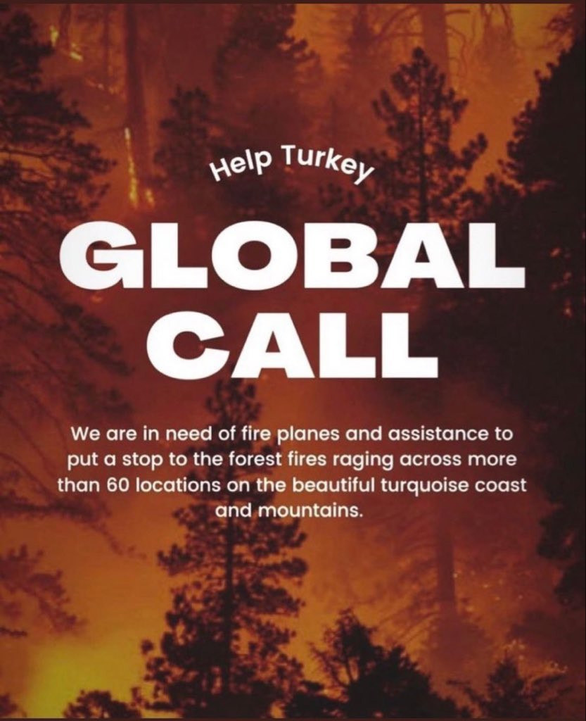 help turkey