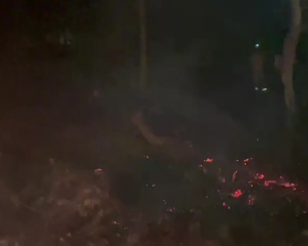 Bursa'da ormanlık alanda korkutan yangını!