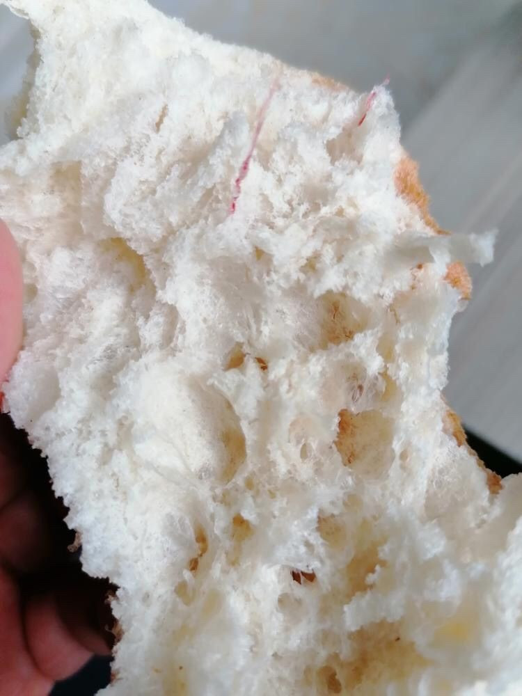 Bilecik'te ekmeğin içinden çıkan şey görenleri şoke etti