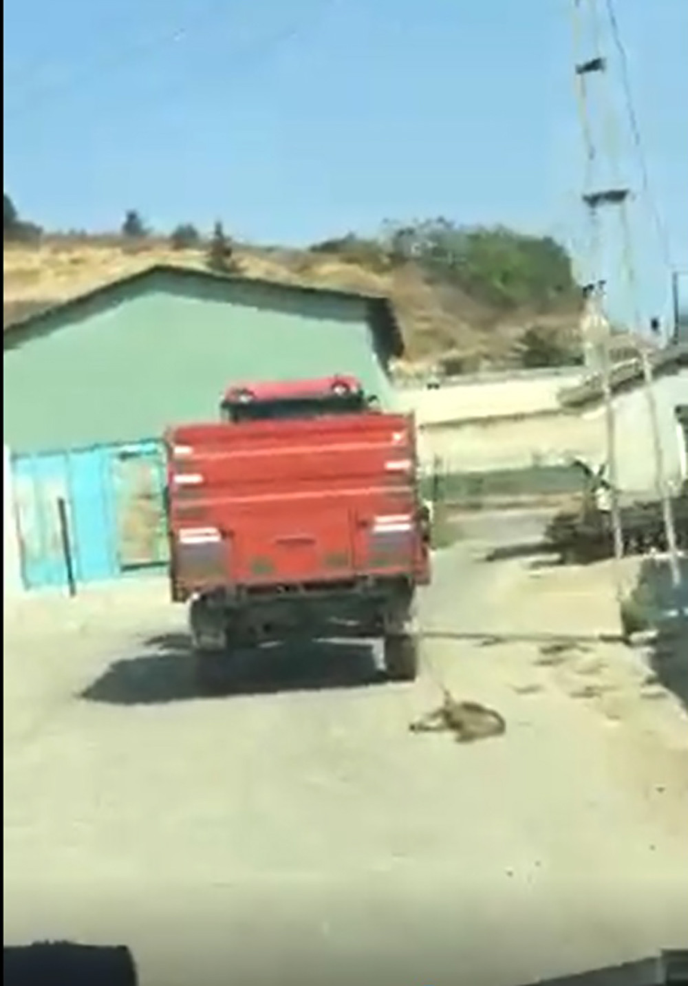 Tekirdağ'daki vahşetin detayları ortaya çıktı! Traktör ardında sürüklenen köpeği sahibi bağlamış