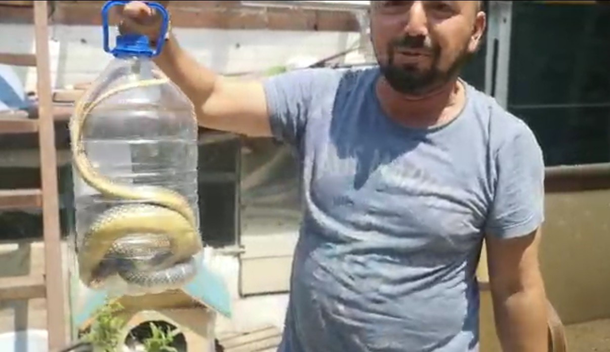 Bursa'da bir eve giren yılan herkesi panikletti