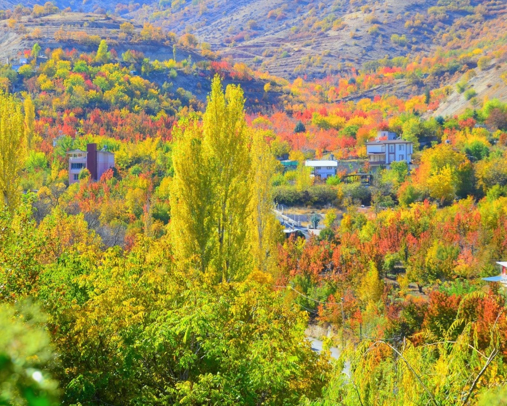 Malatya'daki kayısı bah&ccedil;eleri sonbaharda fotoğraf tutkunları i&ccedil;in doğal bir plato haline geldi