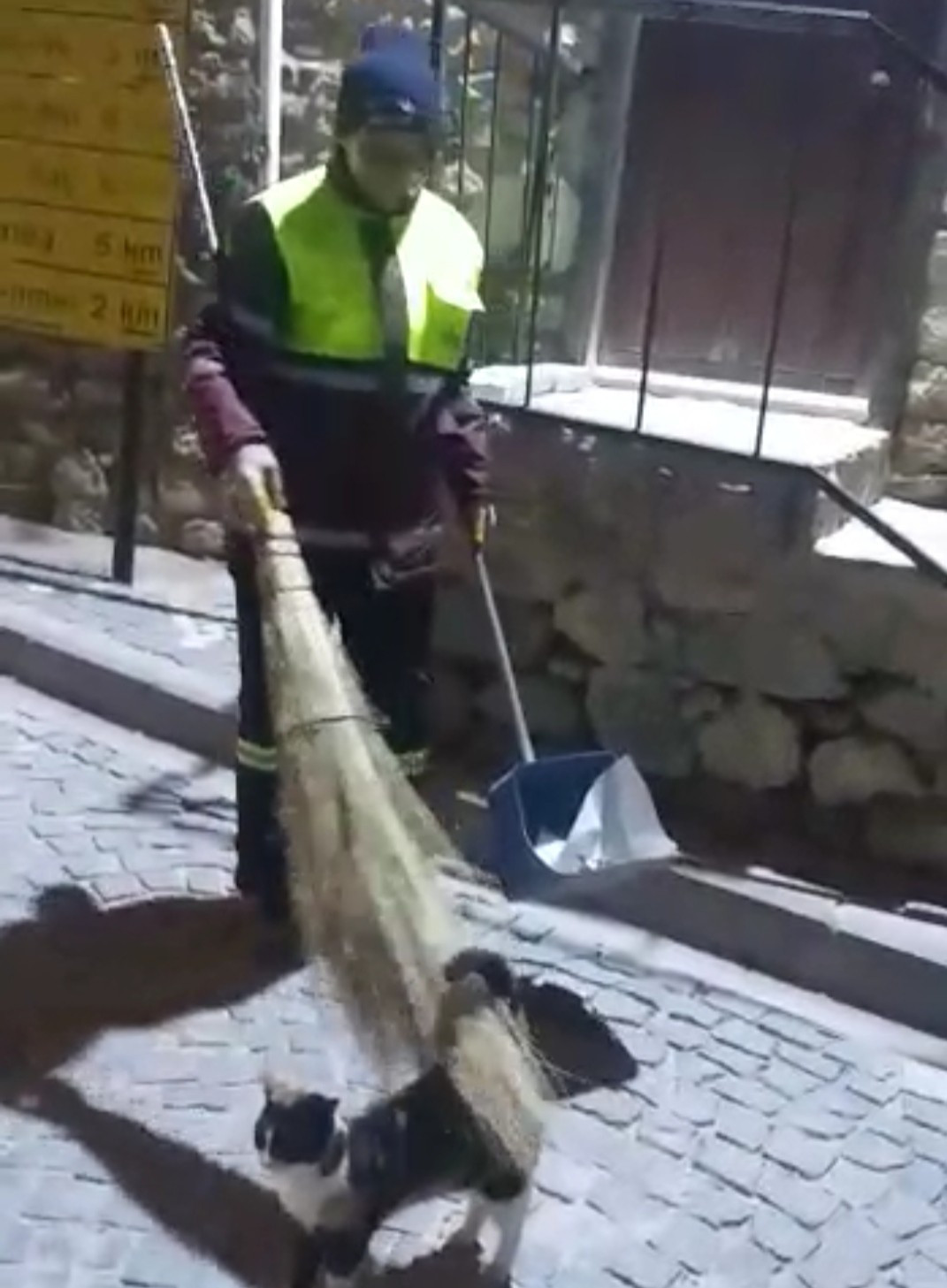 Temizlik g&ouml;revlisi ile sokak kedisi arasındaki dostluk y&uuml;rekleri ısıttı