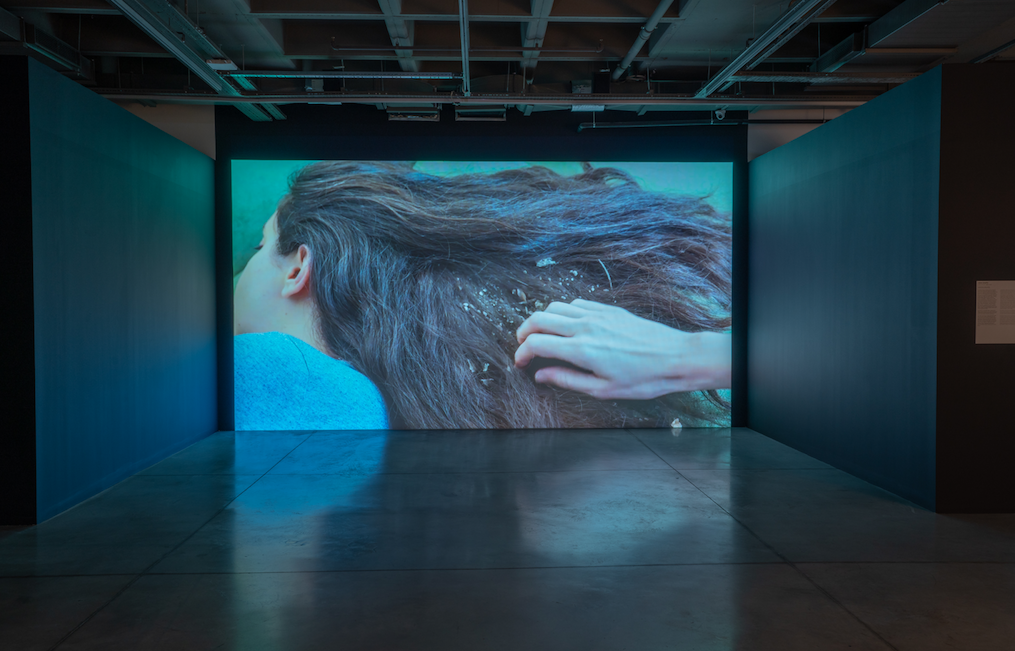 İstanbul Modern 24 Kasım'da öğretmenlere ücretsiz olacak